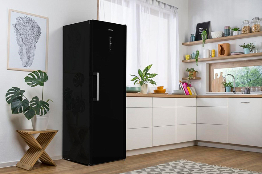 Морозильный шкаф Gorenje FN619EABK6 preview 4
