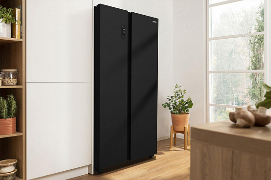 Отдельностоящий холодильник Gorenje NRR9185EABXL preview 5