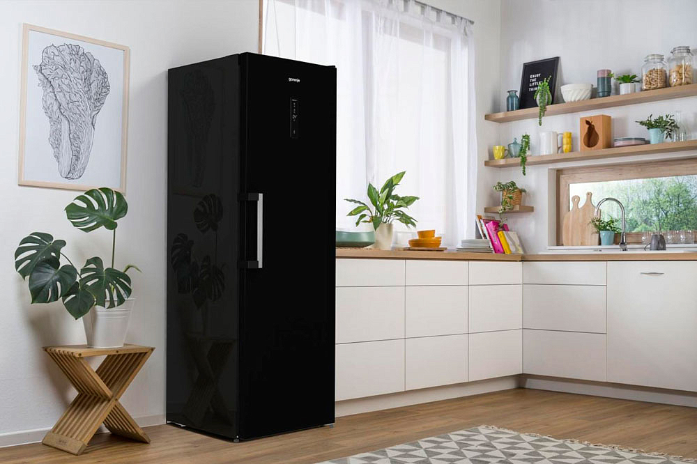 Отдельностоящий однокамерный холодильник Gorenje R619EABK6 preview 11