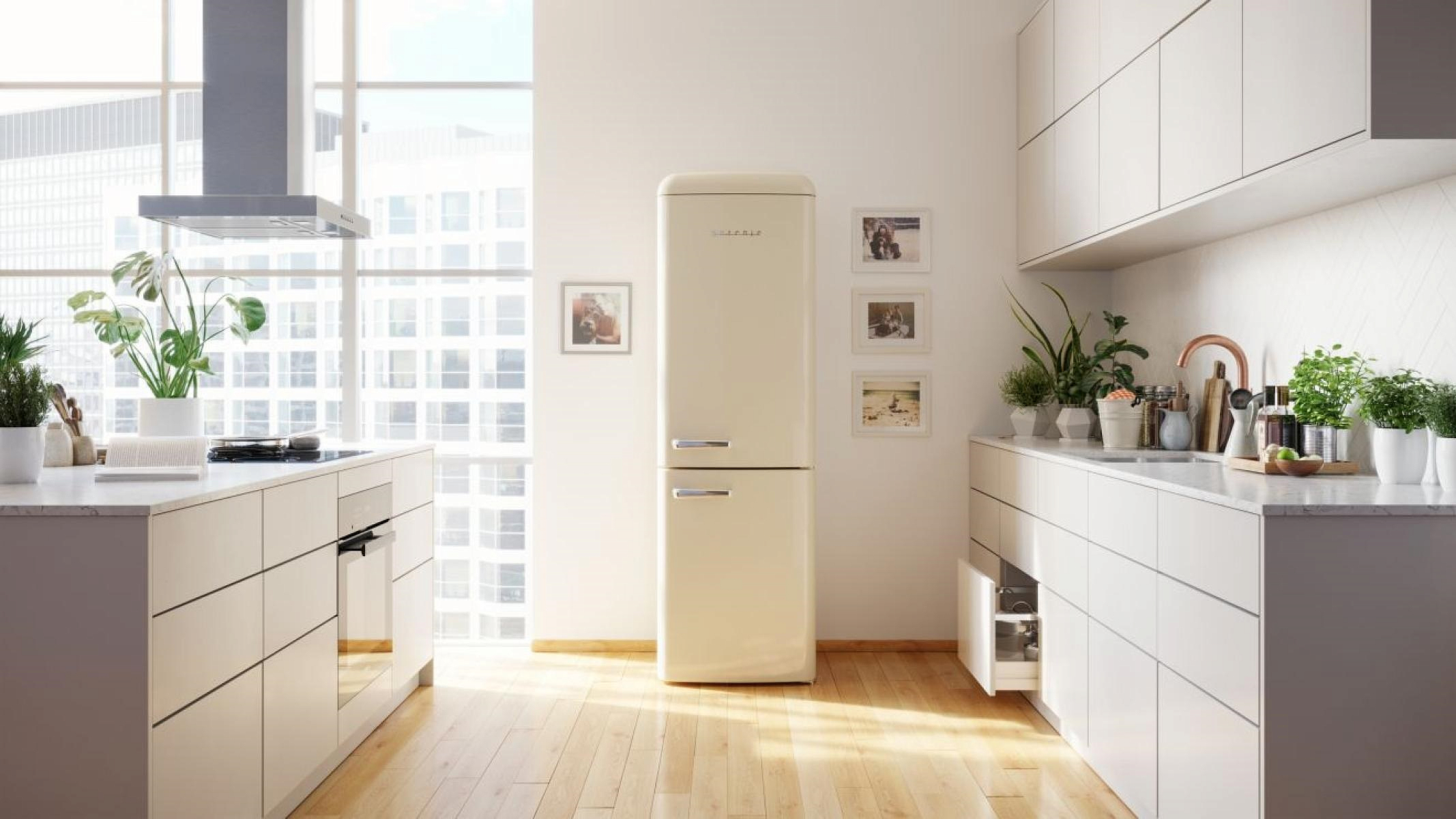 Отдельностоящий холодильник Gorenje ONRK619EC preview 12