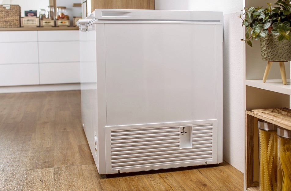 Морозильный ларь Gorenje FH451CW preview 12