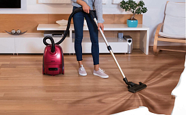 Пылесос Gorenje VC2321GPLRCY