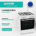 Купить Газовая плита Gorenje GG6A10WFFM