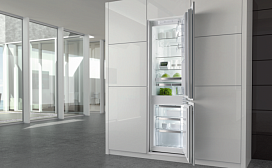 Холодильники IonGeneration от Gorenje